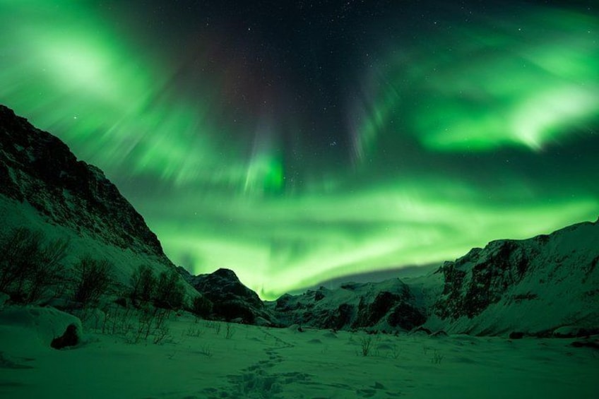 A snowy landscape with green aurora borealis. 5