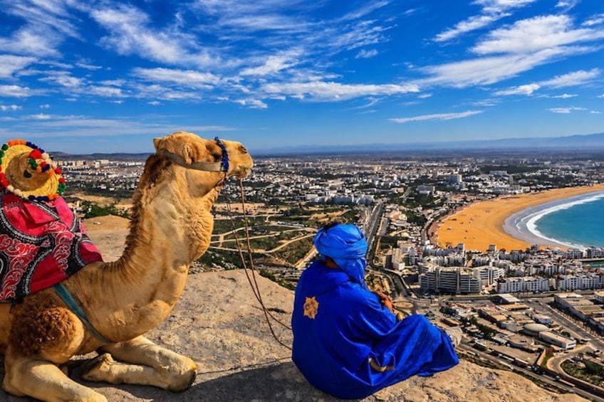 Un camello y una persona en una colina con vista a una playa y una ciudad. 1