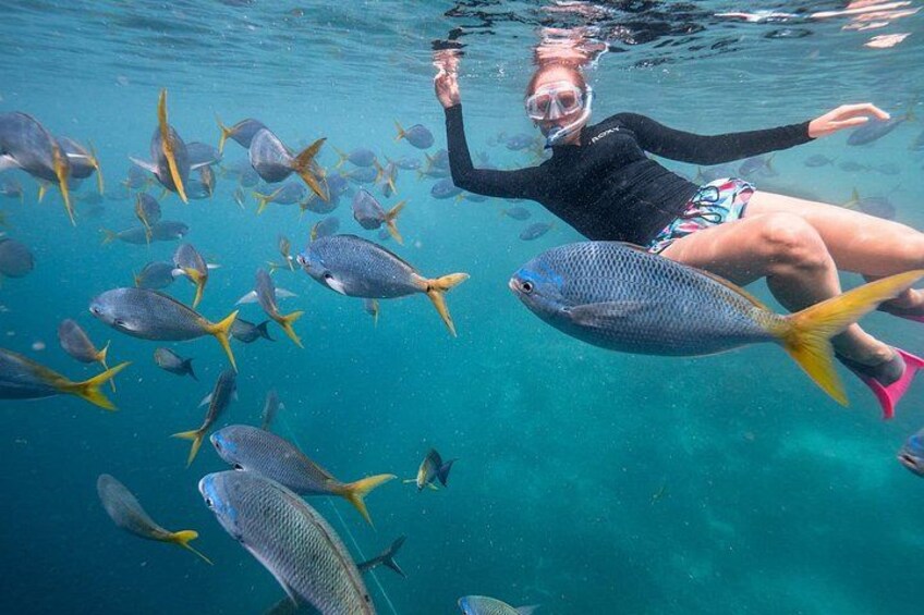 Maafushi: Full Day Snorkeling and Island Hopping Experience 1