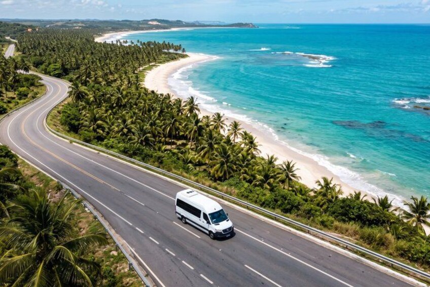 A white van driving on a coastal road with a beach and palm trees on the right. 2