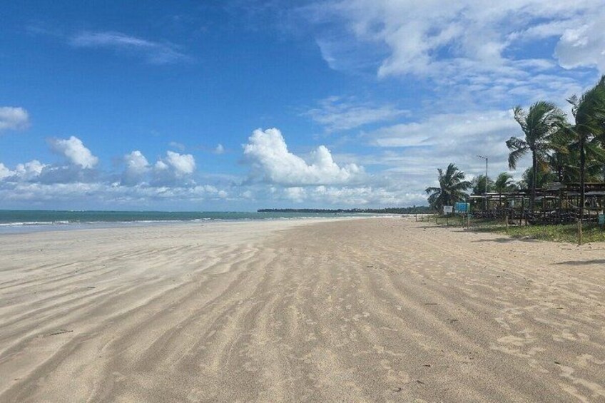 A sandy beach with palm trees and a clear sky. 4