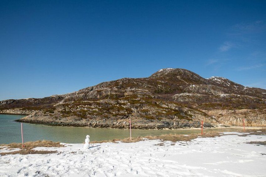 Tromsø: Fjord Adventure Tour with Wildlife and Lunch 4