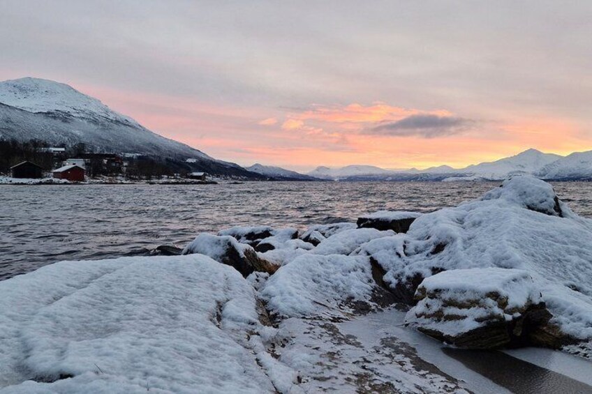 Tromsø: Fjord Adventure Tour with Wildlife and Lunch 2