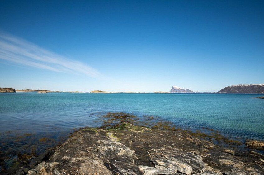 https://media-cdn.tripadvisor.com/media/attractions-splice-spp-720x480/17/12/9d/7f.jpg 3