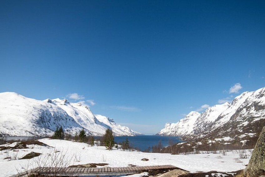 Un paysage de montagne enneigé, avec un ciel bleu dégagé. 4