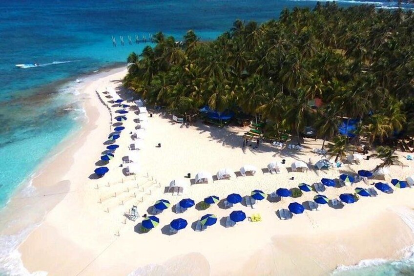 A beach with rows of umbrellas and lounge chairs, palm trees, and the ocean. 1