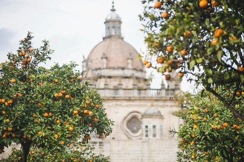 Cadiz and Jerez 10 Hour Day Tour from Seville + Free Photoshoot 3