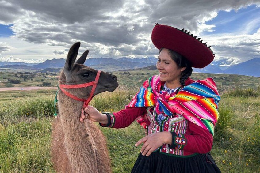 our friendly alpaca 1