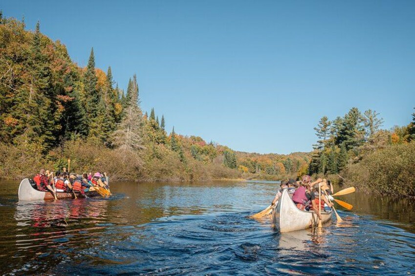 Un groupe de personnes se trouve dans un canoë sur une rivière, entouré d’arbres aux couleurs automnales. 2