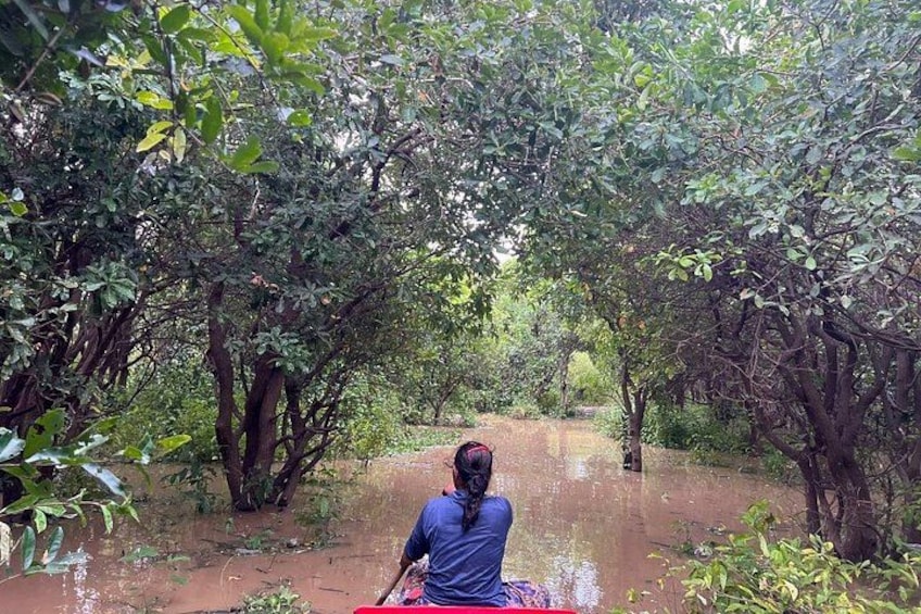 A person paddling a red boat through a narrow waterway surrounded by dense foliage. 3