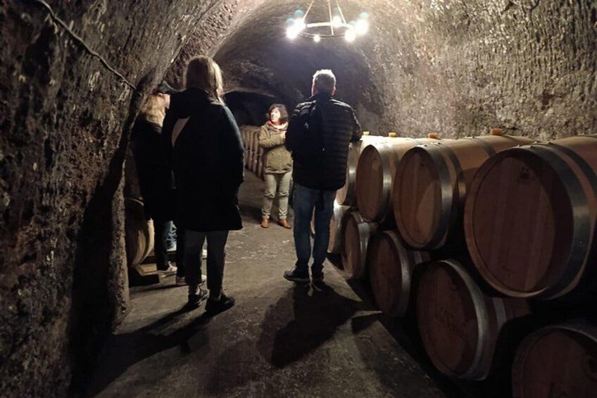 A group of people in a dimly lit underground cellar with wooden barrels. 3