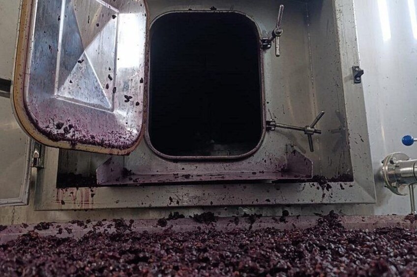 A stainless steel sink with a drain, surrounded by a large amount of debris. 2