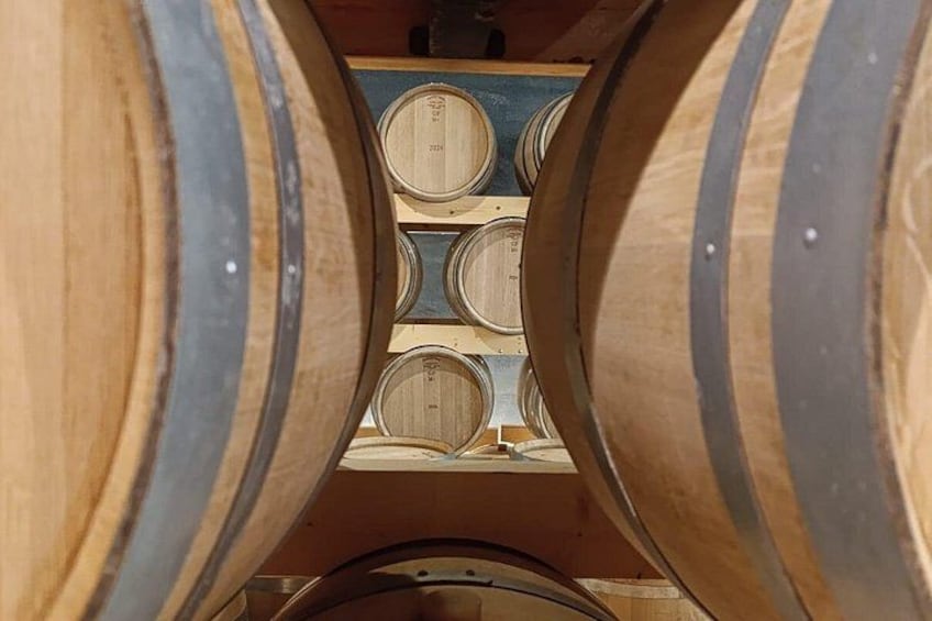 Wooden barrels arranged in a rack. 1