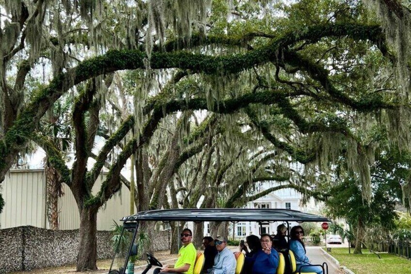 St. Augustine Historical FOOD Tour on Electric Cart with Pick Up 2
