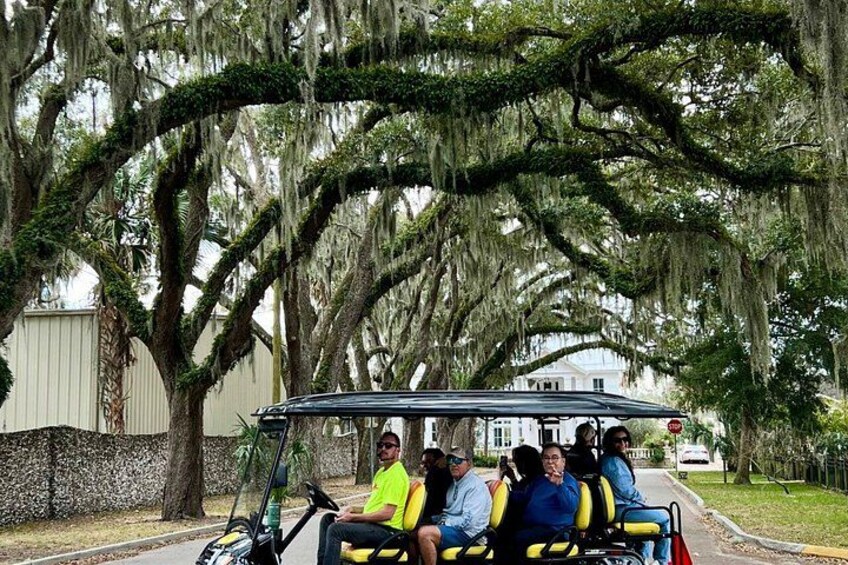 St. Augustine Historical FOOD Tour on Electric Cart with Pick Up 2