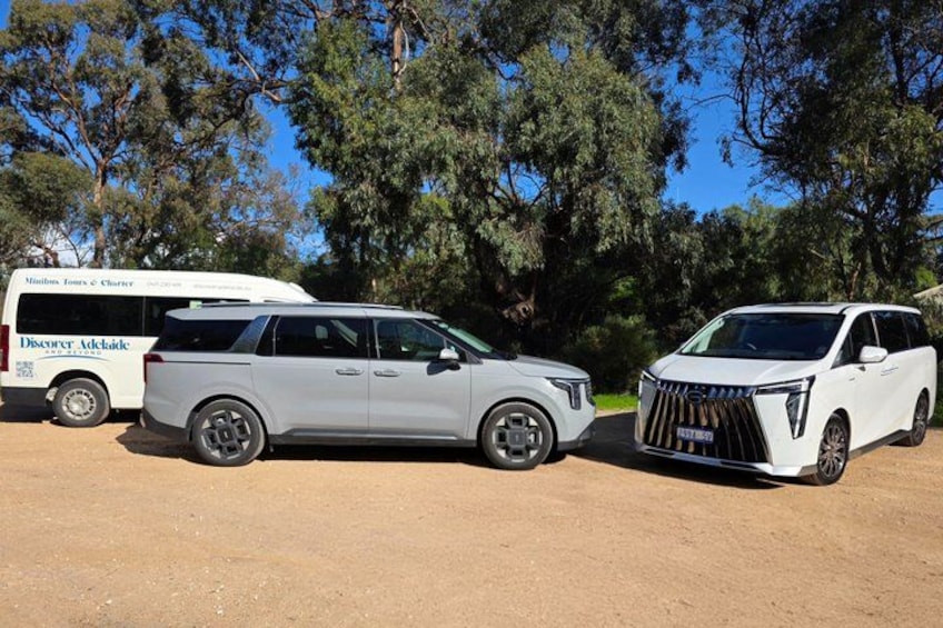 Private Premium McLaren Vale Wine and Brew Tour 2