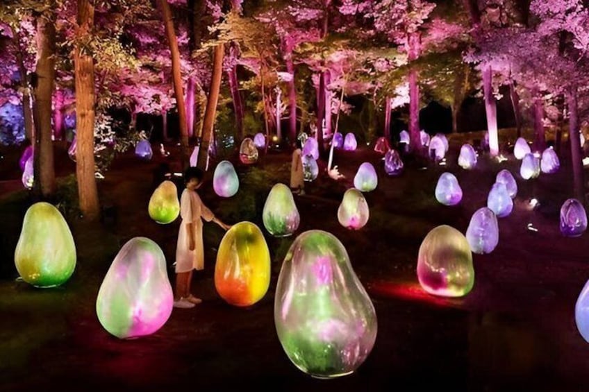 TeamLab Botanical Garden Osaka Ticket 4