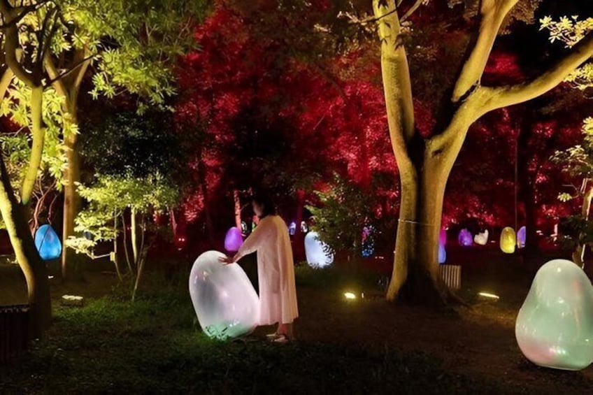 TeamLab Botanical Garden Osaka Ticket 2