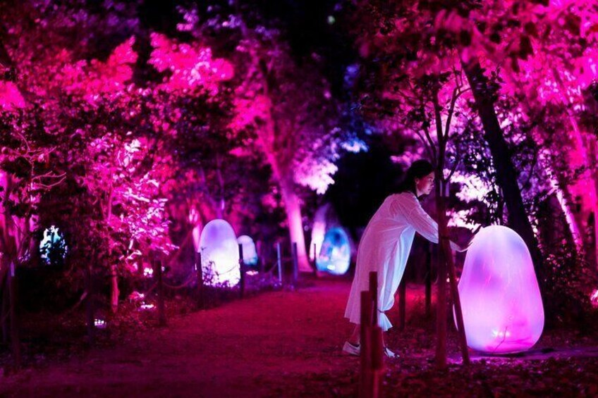 Une personne vêtue de blanc se tient sous un arbre, éclairé d’une lumière rose, et est entourée d’objets sphériques illuminés. 5