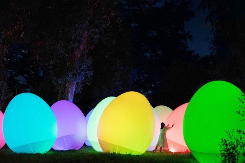 teamLab, Forest of Autonomous Resonating Life - Eucalyptus 4