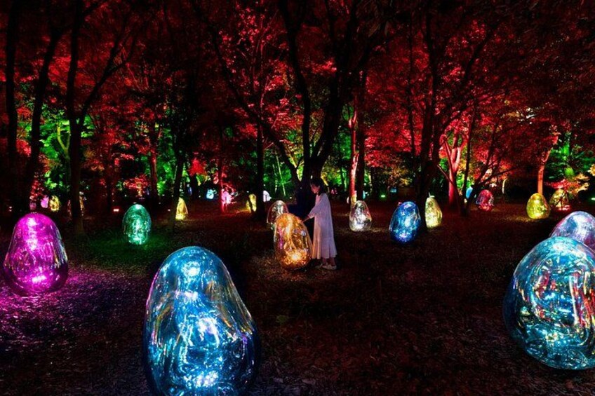 teamLab, Resonating Microcosms in the Common Camellia Garden - Solidified Light Color, Sunrise and Sunset 1
