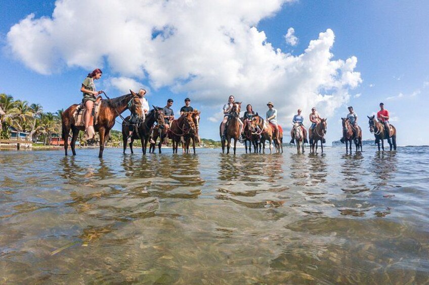A group of people riding horses in shallow water with a clear sky and palm trees in the background. 3