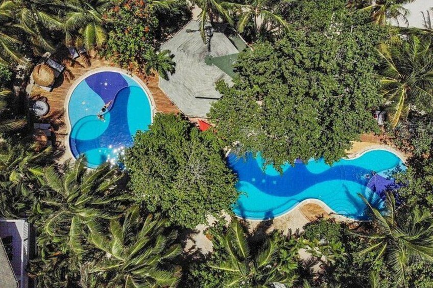 A large pool surrounded by palm trees and a wooden deck. 2