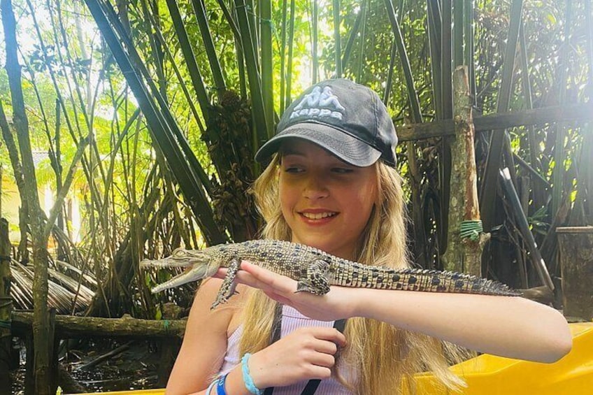 A person holding a large crocodile. 5