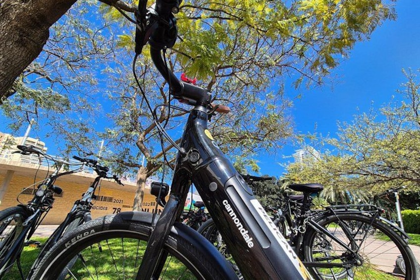 A black bicycle with a front suspension fork and a rear rack, parked under a tree with green leaves. 5