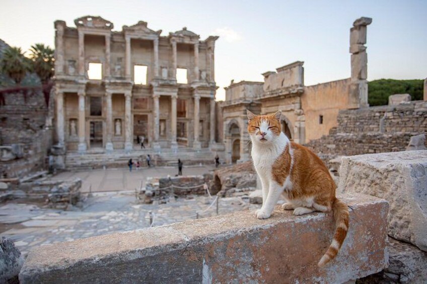 Ephesus Day Trip from Istanbul with Flights 5