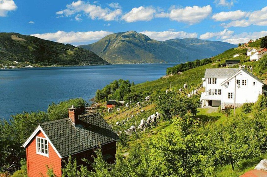 Hardanger 2