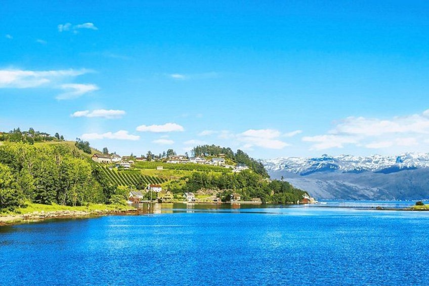 Fjord 5