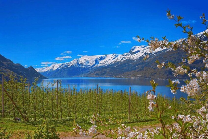 Views of Hardanger 4