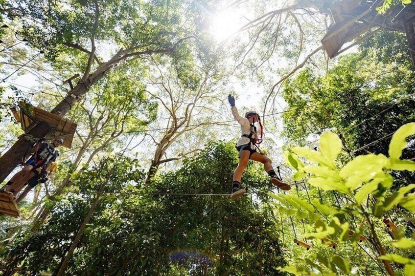 Una persona che sfreccia in zip-line attraverso la volta di una foresta. 2