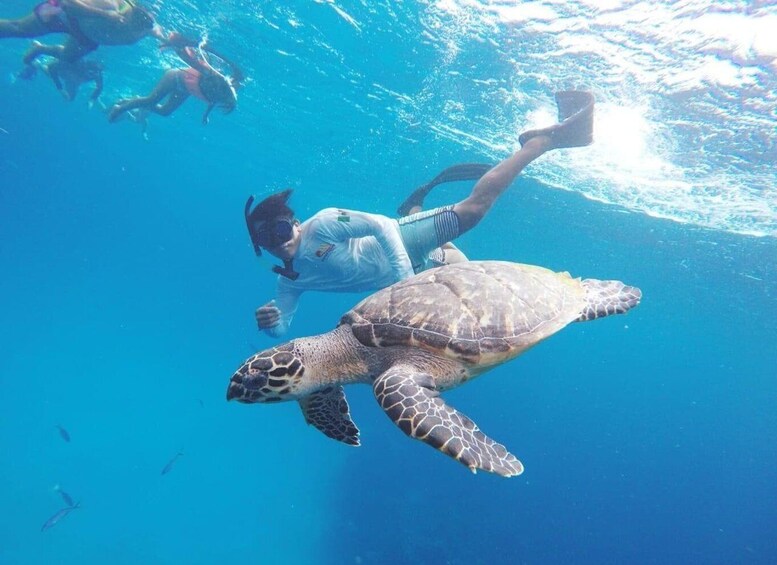 Picture 2 for Activity From Cozumel: 3 Reefs Boat Tour with Drinks and Snorkeling 1