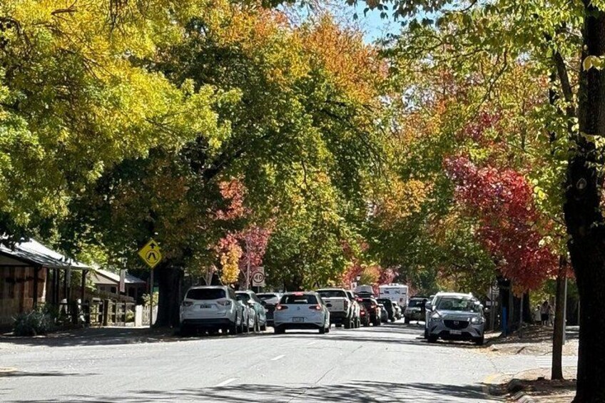 Charms of Hahndorf and Hills Full-day Tour 5