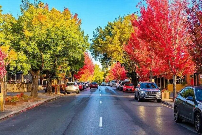 Charms of Hahndorf and Hills Full-day Tour 1