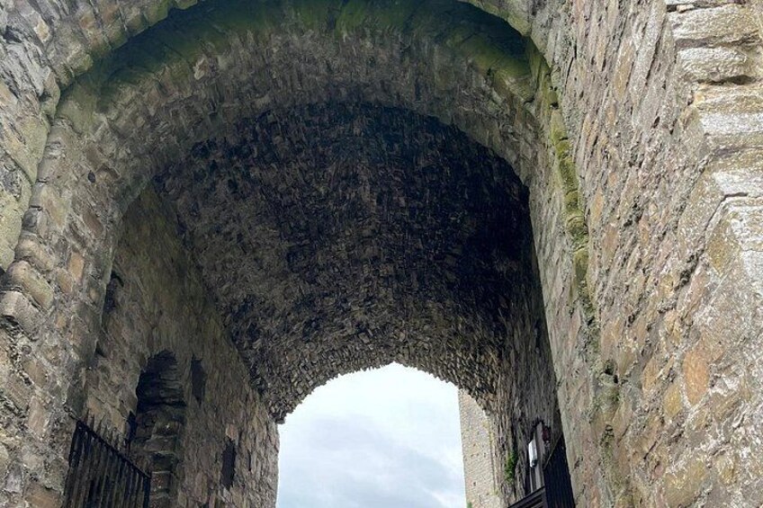 Dublin Day Tour in Trim Castle, Cliffs of Moher and Burren Park 3