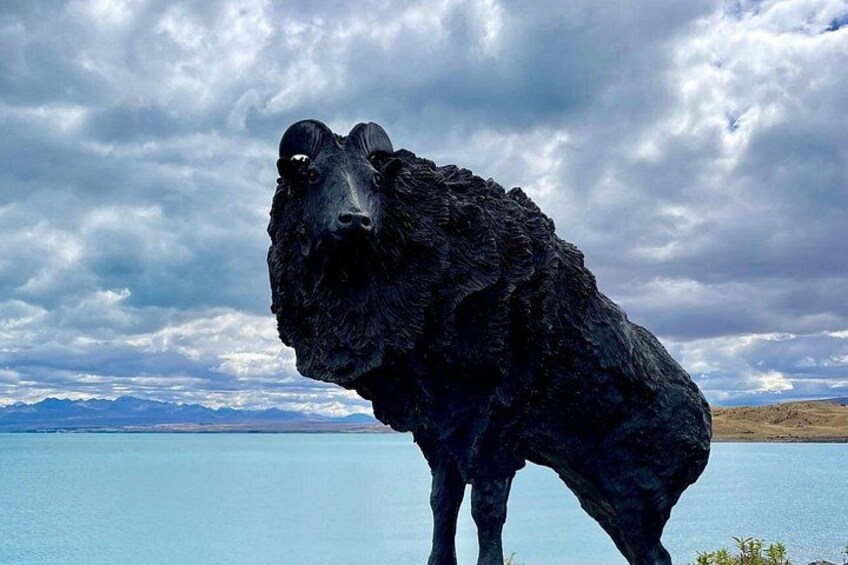 Christchurch to Queenstown One Way Via Lake Tekapo 5