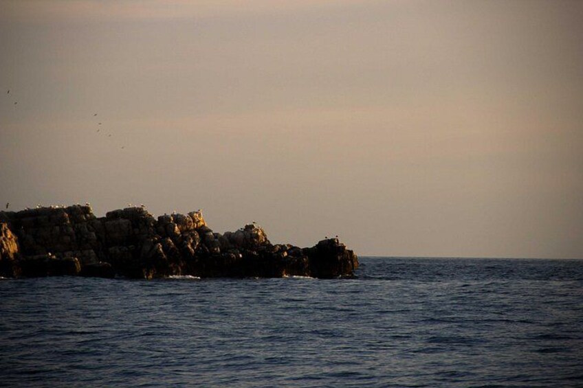 A rocky coastline with waves crashing against the rocks. 2