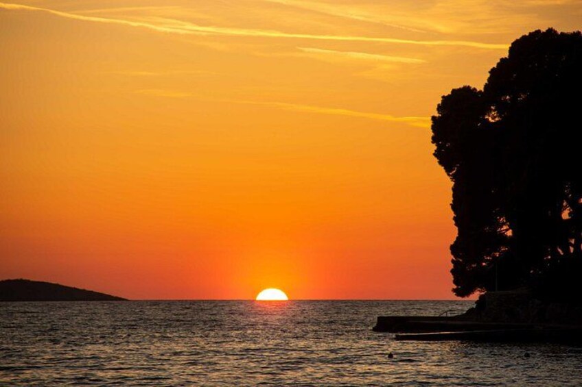 A sunset over the ocean with a silhouette of a tree and a dock. 3