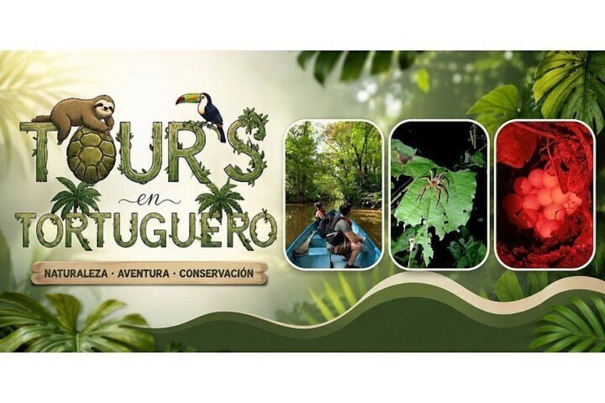 Un anuncio de tour con un perezoso, un tucán y una tortuga. Incluye imágenes de un bosque, un barco y una fruta roja. 1