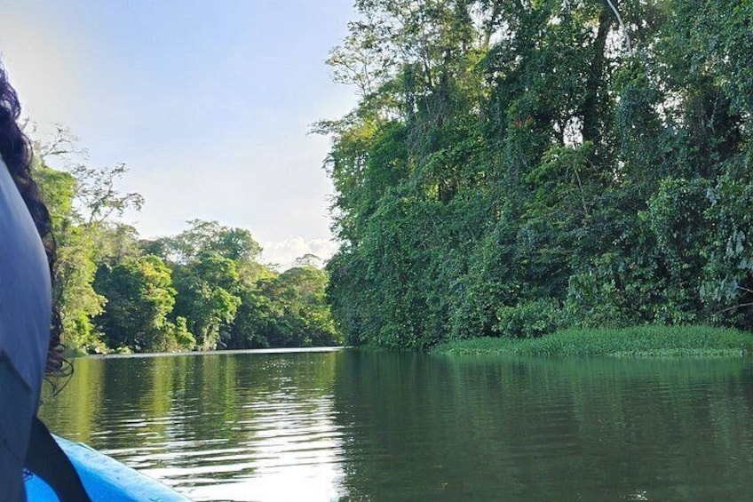 Canoe tour, hiking tour to the jaguar sector and turtle spawning 5