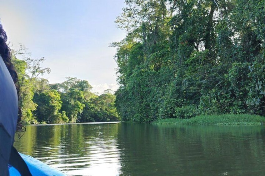 Canoe tour, hiking tour to the jaguar sector and turtle spawning 5