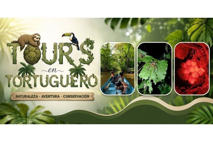 Canoe tour, hiking tour to the jaguar sector and turtle spawning 1