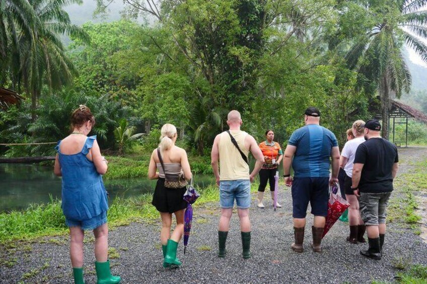 A group of people walking along a path beside a body of water, surrounded by lush greenery. 3