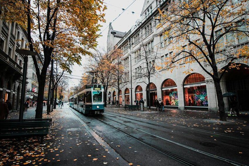 Private 5 Hour Zurich City Tour 3