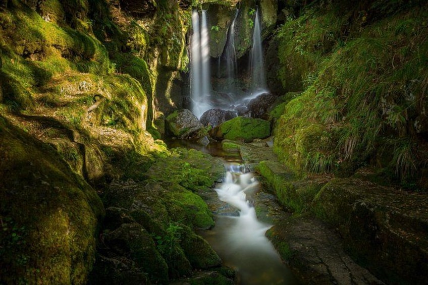 A moss-covered waterfall in a forested area with rocks and a stream. 4