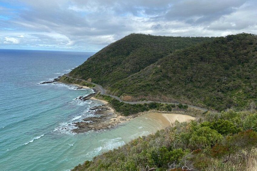 Experience Ocean Road Tour in Italian Language 5
