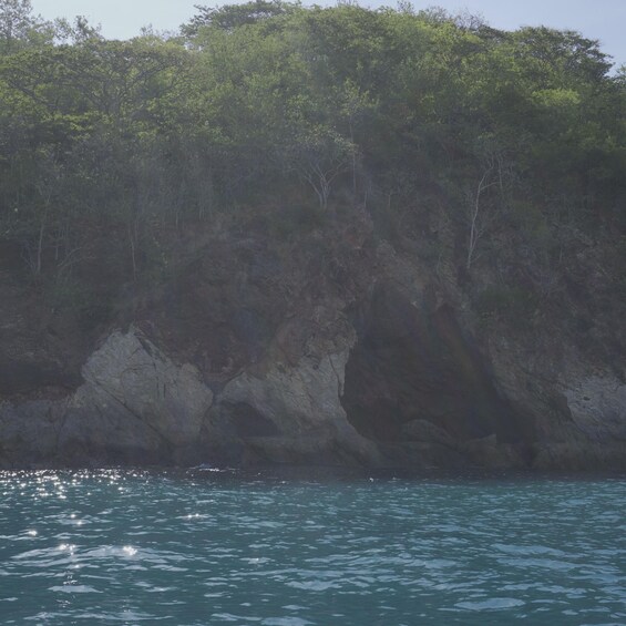 A rocky coastline with dense green foliage. 5
